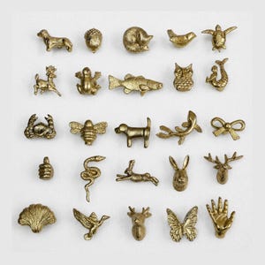 Può includere: Una collezione di venticinque piccoli ciondoli in metallo color oro disposti in una griglia. I ciondoli presentano varie forme, tra cui animali come un cane, una rana, un pesce, un gufo, una tartaruga, un serpente, un coniglio e un cervo.