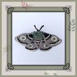 Emperor Moth - Crochet Pattern - PDF Digital Download - Insect Animal Butterfly Brooch Pin