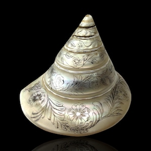May include: A pearlescent, cone-shaped seashell with etched floral and leaf designs. The shell has a spiral shape with etched bands and a smooth, reflective surface. The intricate carvings add detail to the natural form.
