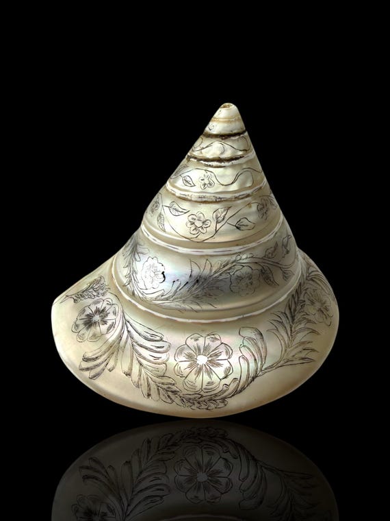 Hand-engraved Top Shell. 19th Century.