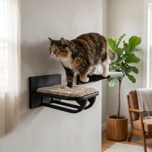 Juego de 2 escalones modernos para gatos, muebles de escalada de polímero, con una cómoda superficie de tela.