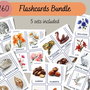 Pack de 160 cartes mémo Nature Explorer : animaux d'hiver, serpents, coquillages, noix, fleurs, activité pour tout-petits, imprimable et téléchargeable