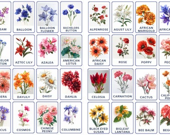 32 PNG Flowers Types Flashcards, Montessori Printable for Kids, Nomenclature Cards, Toddler Activity, Learning for kids, Printable Cards