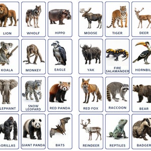 32 PNG Montessori Forest Animals flashcards, Nomenclature Cards, toddler activity, Montessori cards, Digital Educational for Kids Printable