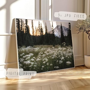 Printable Wildflowers Photography | Nature Landscape Large Wall Art | Green Nature Digital Print | Nordic Forest Wall Art | Digital Download