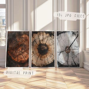 May include: Three digital prints of tree rings, each with a different color scheme. The first print is a dark brown with orange hues, the second is a light brown with dark brown rings, and the third is a light gray with dark gray rings. The prints are displayed on a white wall with a wooden floor.