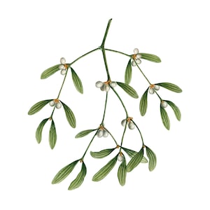 Branche de gui de Noël Dessin Clipart PNG - Vintage de vacances (Album Viscum) Floral Illustration