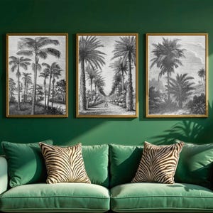 May include: Three black and white framed prints depicting palm trees in a tropical setting. The prints are hung on a green wall above a green sofa with zebra print cushions.