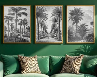 Monochrome Tropical Palm Tree Engraving Botanical Printable Wall Art Set - Black and White Exotic Jungle Forest Art for Green Wall