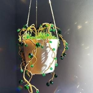 Perlenblume, Perlenpflanzen, immer sukkulente, Suncatcher, Wohnkultur, Perlenkette