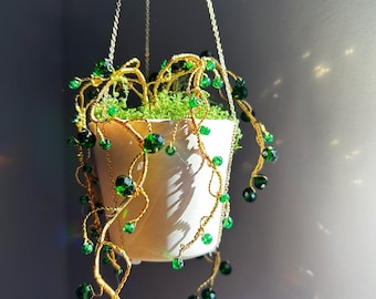 Flor de contas, plantas de contas, suculentas para sempre, apanhador de sol, decoração para casa, colar de pérolas de contas