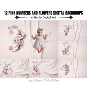 Fondos digitales con números florales rosas para recién nacidos de los primeros doce meses, fondos para fotografías de cada mes para recién nacidos, accesorios fotográficos con flores rosas