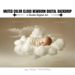 May include: A newborn baby sleeping on a fluffy white cloud digital backdrop. The background is a muted beige color.