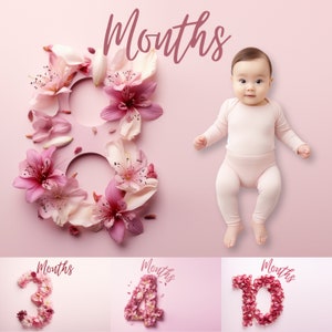 12 premiers décors de photographie pour bébé fille | Accessoires photo floraux roses | Jalon de la première année du nouveau-né | Arrière-plans numériques