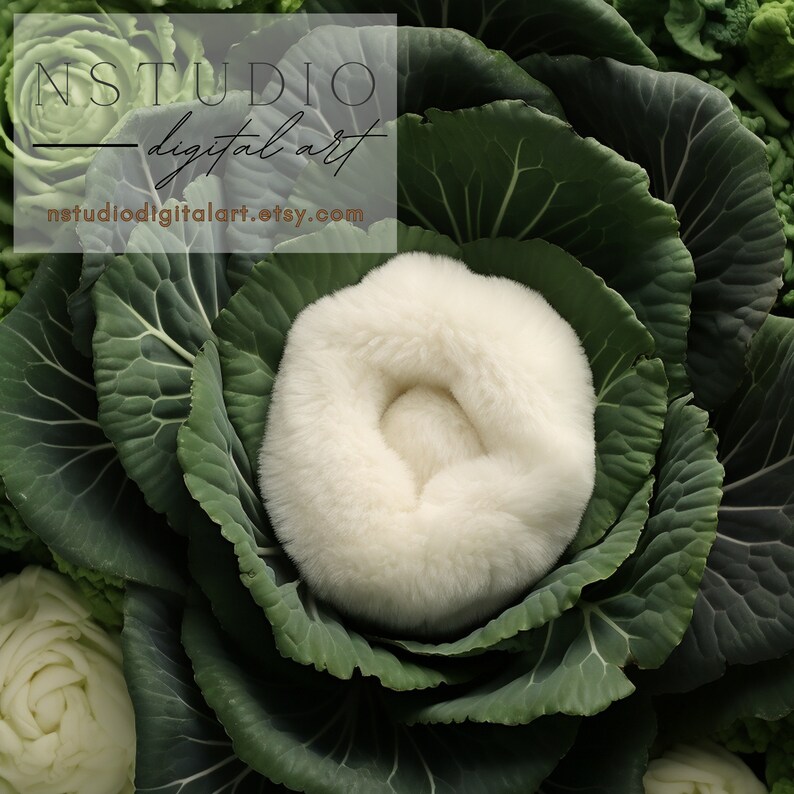 Cabbage Baby Nest Digital Backdrop: Newborn Photoshoot (digital ...
