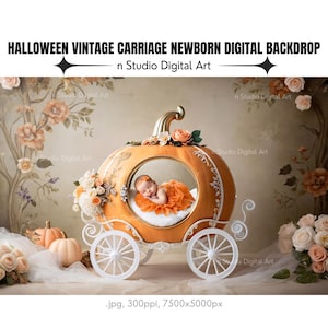 Halloween Vintage Pumpkin Carriage Newborn Digital Backdrop, Autumn Baby Photography Background (Digital Download)