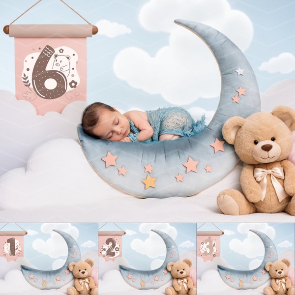 12 Baby First Twelve Months Digital Backdrops | Moon, Stars, Clouds and Teddy Bear Photo Props | Newborn Milestone Photography Backgrounds