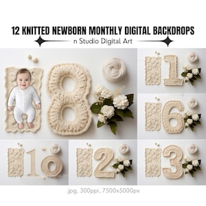 12 Baby First Twelve Months Photography Backdrops | Knitted Beige Numbers For Each Month | Newborn First Year Milestone |Digital Backgrounds