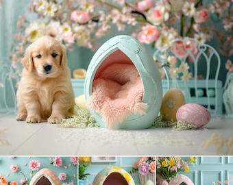 8 fondos digitales para fotos de mascotas de Pascua, casetas para perros y huevos de colores (descarga digital)