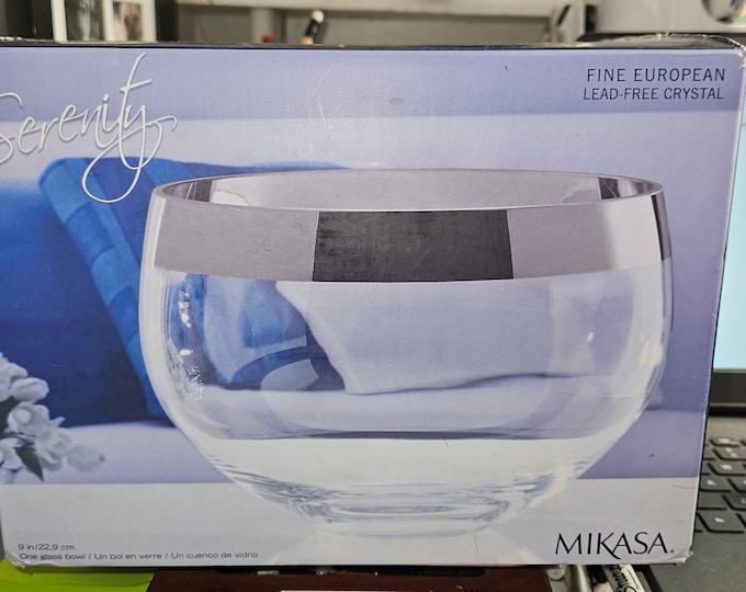 Mikasa Serenity 9inch Platinum banded bowl 5152820 In orginal box C6/5