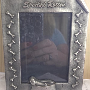 Puede incluir: Un marco de fotos rectangular de metal plateado con acabado cepillado. El borde superior presenta el texto en relieve "Spoiled Rotten". Los lados están decorados con un patrón repetido de pequeños huesos de perro en relieve y un cuenco.