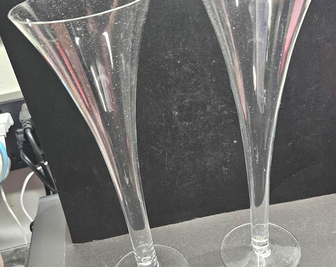 Set of 2 Toscany hand-blown 12-ounce Wine Goblets -C5/12