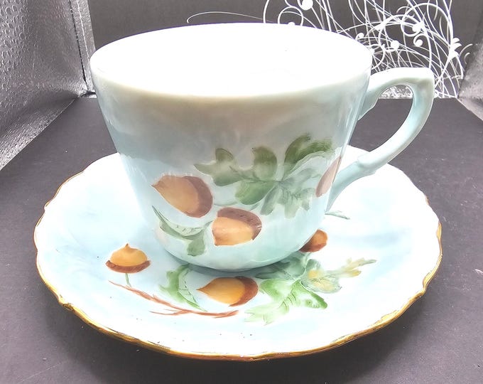 Vintage Phyllis Rainee Tea Cup and saucer F3/22