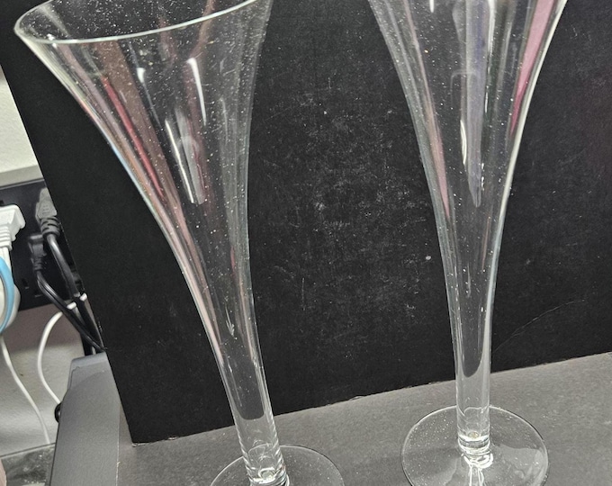 Set of 2 Toscany hand-blown 12-ounce Wine Goblets -C5/12