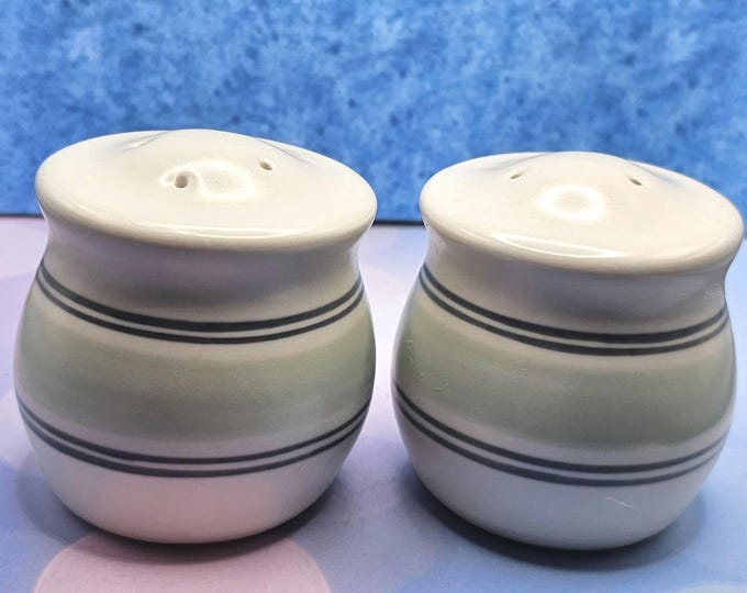 Vintage Pfaltzgraff salt and pepper shakers A10 (box)