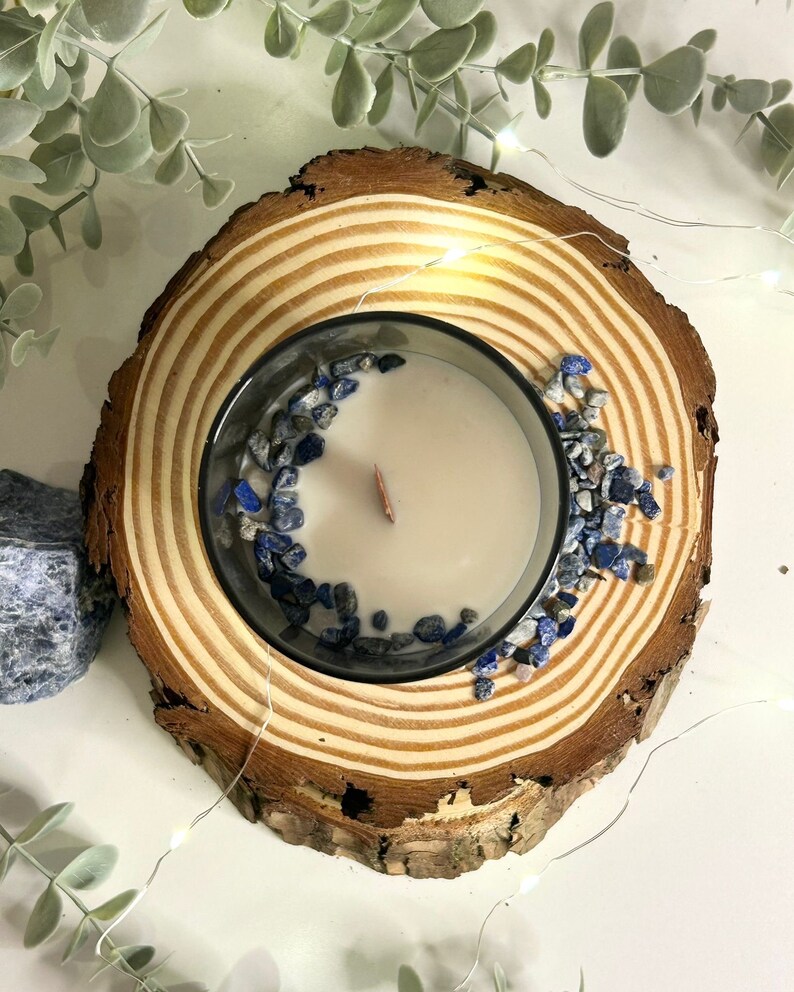 Megumi Fushiguro Scented Soy Candle/wax Melt Fandom Merch, JJK Inspired