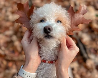 Vitality Dog Necklaces with EM Ceramics and Silicone beads (natural tick repellent effect)/ Dog Collar Tick Repellent Effect