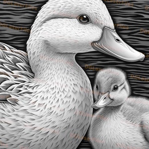 Laser Engrave File | 3D Illusion | PNG Engrave | Glowforge | Design for ...