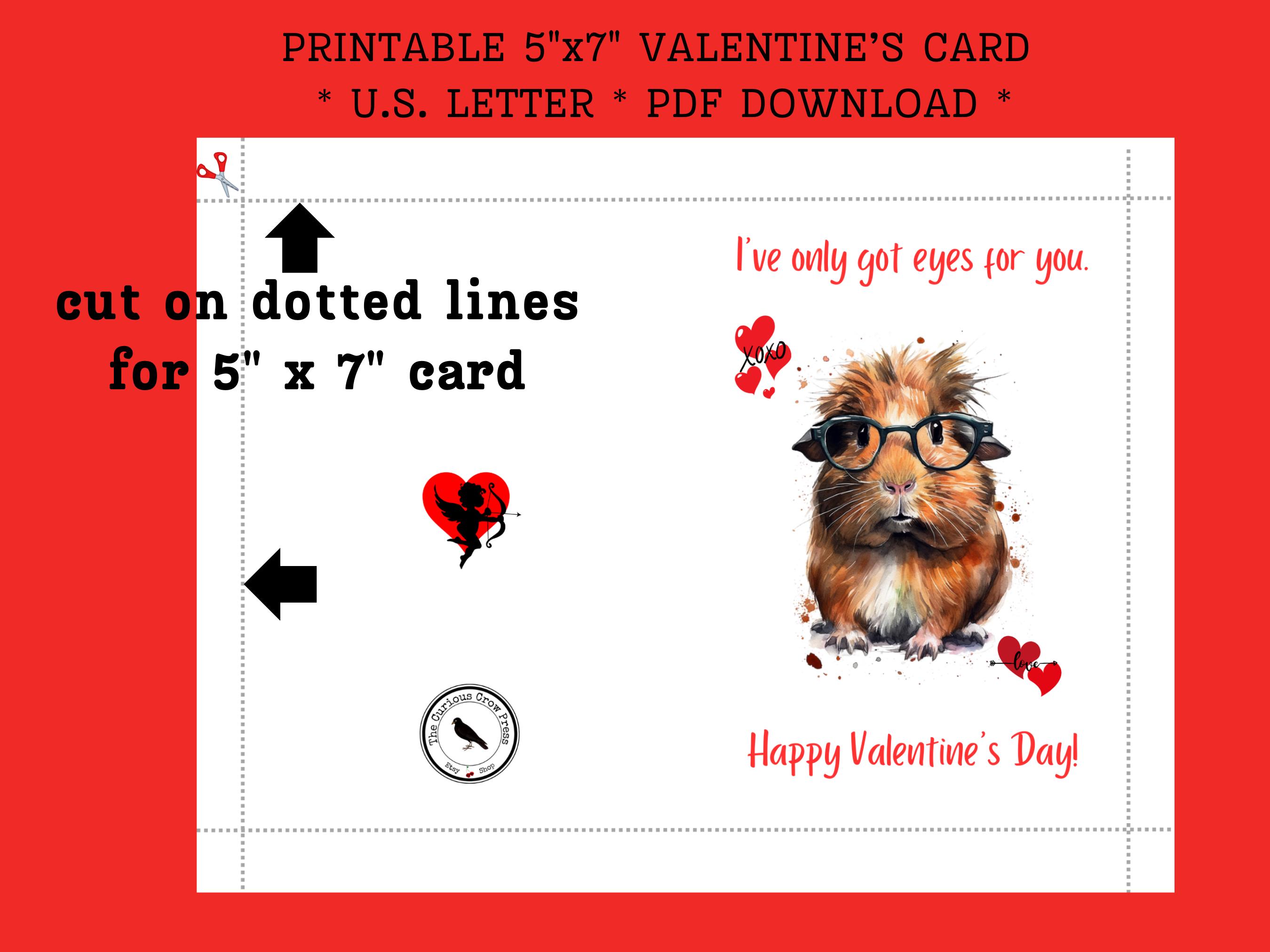 Guinea Pig Valentines Day Printable Card | Instant Happy V Day Card ...