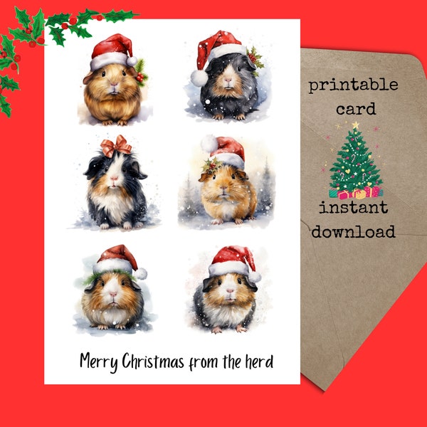 Guinea Pig Christmas card | guinea pig herd holiday card |  Xmas group Card | 5x7 printable Greeting Card | cute baby cavies cavy | digital