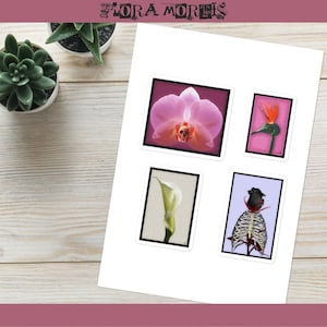Folha de adesivos de arte gótica - lírio, rosa, pássaro, orquídea, caveira, ossos