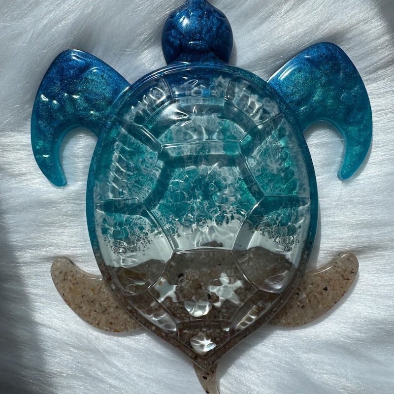 Turtle Shell Real Art - Etsy