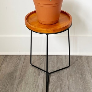 May include: A potted plant with green and white striped leaves sits on a small, round wooden table. The table has a dark metal frame with three legs. The plant pot is a terracotta color.