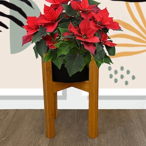 May include: A red poinsettia plant in a black pot on a wooden stand. The stand has a simple design with four legs.