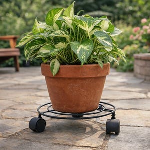 Metal Plant Caddy with Wheels: 10" Rolling Plant Stand, Set of 4