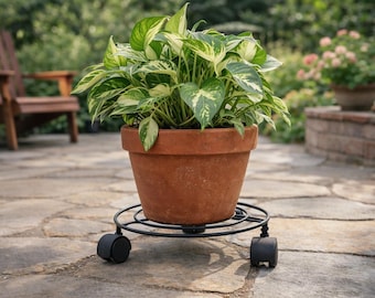 planting potted lavender 18in Tall Lavender Plant In a Black Pot main image 0