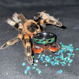 Aangepaste ringen handgemaakt