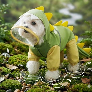 Könnte beinhalten: Ein kleiner weißer Hund, der einen grünen und gelben Dinosaurier-Kostüm-Regenmantel mit einem durchsichtigen Visier trägt. Der Regenmantel hat gelbe Stacheln auf dem Rücken und einen Schwanz. Der Hund steht in einem moosigen Bereich mit Wassertropfen, die um seine Pfoten gezeichnet sind.