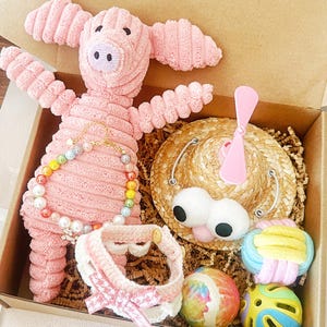 May include: A pink plush pig toy with a rainbow bead necklace and a white and pink collar sits in a cardboard box. The box also contains a straw hat with large white eyes, a pink propeller, and two colorful balls.