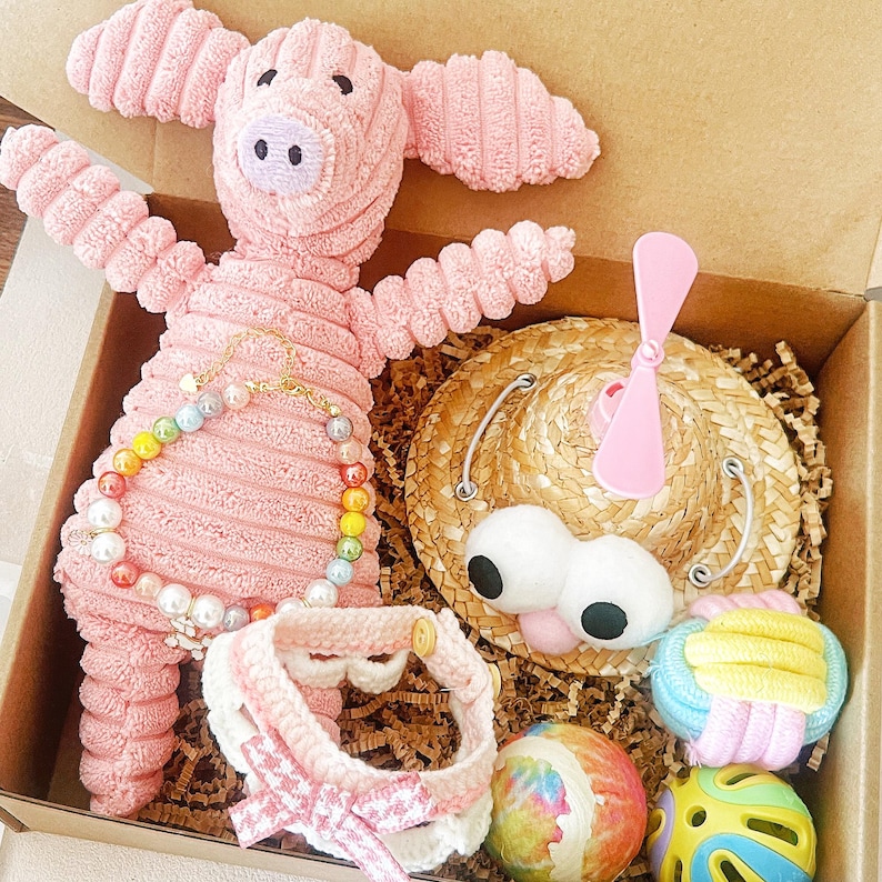 May include: A pink plush pig toy with a rainbow bead necklace and a white and pink collar sits in a cardboard box. The box also contains a straw hat with large white eyes, a pink propeller, and two colorful balls.