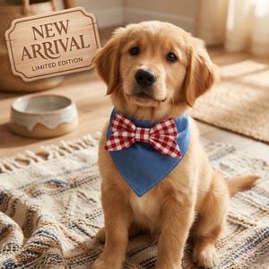 Può includere: Un cucciolo di golden retriever con un fazzoletto blu e un papillon a scacchi rossi e bianchi. Il cucciolo è seduto su un tappeto fantasia. Un cartello di legno sullo sfondo recita "NUOVO ARRIVO EDIZIONE LIMITATA."