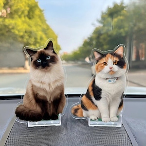 Könnte beinhalten: Zwei Katzenfiguren aus Acryl. Eine ist eine Ragdoll-Katze mit blauen Augen und braunem Fell. Die andere ist eine Schildpattkatze mit orangefarbenem, schwarzem und weißem Fell. Beide sitzen auf einem transparenten Sockel.