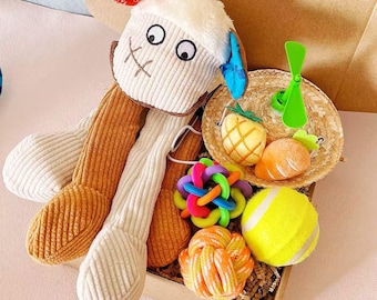 Puppy Gift Box with Hat, Squeaky Toy & Balls Set