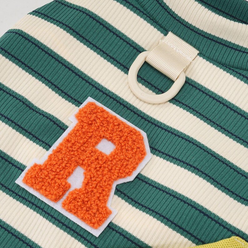 Pu&ograve; includere: Primo piano di un maglione a righe verdi e crema per animali domestici con una toppa arancione con la lettera "R". Il maglione ha una trama a coste e un dettaglio con passante e cinturino beige. Le strisce sono verticali.