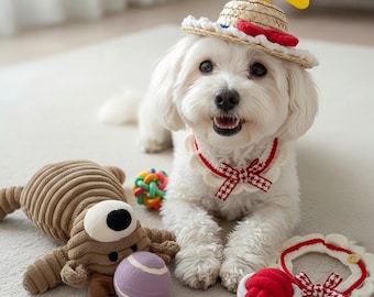 Puppy Gift Box, Dog Toys, Handmade Collar & Propeller Hat