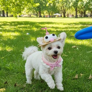 May include: A small, white dog wearing a straw hat with cartoon eyes and a pink propeller, and a pink collar with a bow. The dog is running on green grass in a park, with trees in the background.